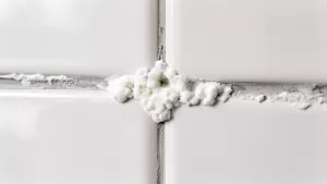 biały nalot na fudze po fugowaniu