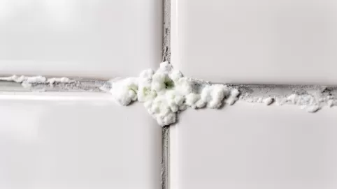 biały nalot na fudze po fugowaniu