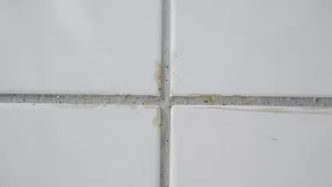 czy można pomalować fugę