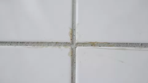 czy można pomalować fugę