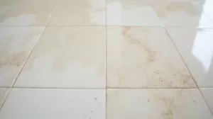 Czym umyć płytki po fugowaniu