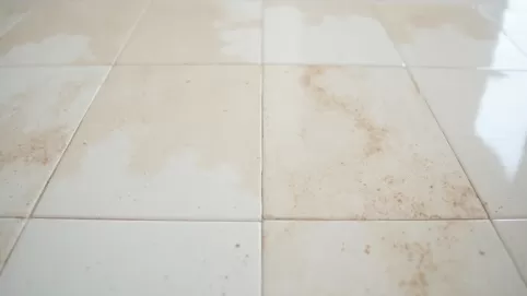 Czym umyć płytki po fugowaniu