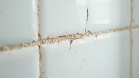 czym usunąć starą fugę