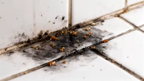 Czym wyczyścić fugi w kuchni