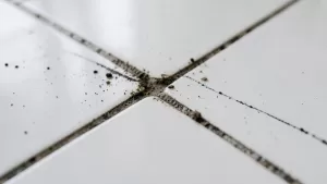 czym zabezpieczyć fugi przed zabrudzeniem