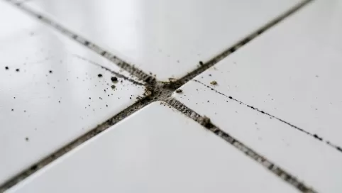 czym zabezpieczyć fugi przed zabrudzeniem