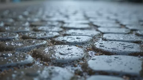 Fuga do kostki granitowej