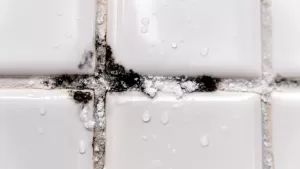 Impregnat do fug wodoszczelny