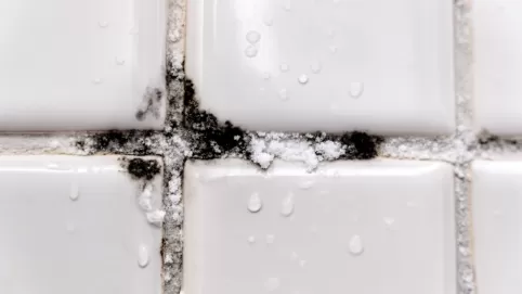 Impregnat do fug wodoszczelny