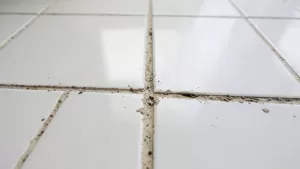 jak fugować płytki podłogowe