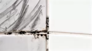 jak odnowić fugi w łazience