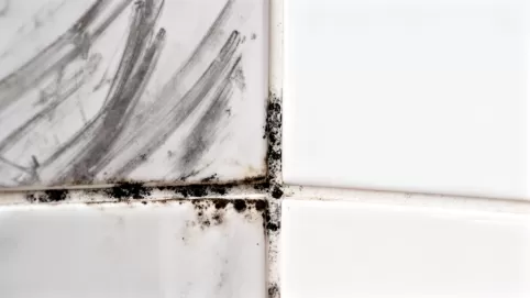 jak odnowić fugi w łazience