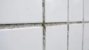 jak odświeżyć fugi w łazience