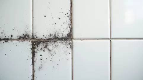 Jak zabezpieczyć fugi pod prysznicem