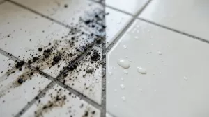 jak zabezpieczyć fugi przed brudem