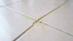 jaka fuga do jasnych płytek na podłodze