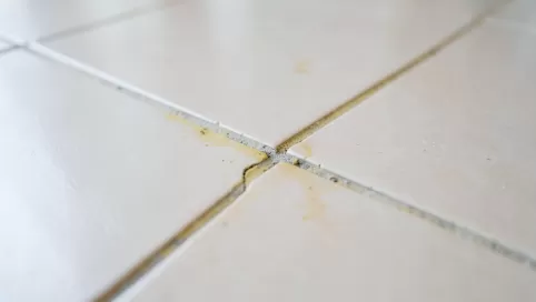 jaka fuga do jasnych płytek na podłodze