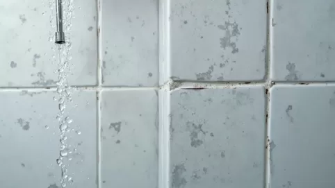 Jaka fuga pod prysznic