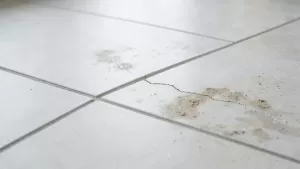 jaka grubosc fugi do plytek 120x60