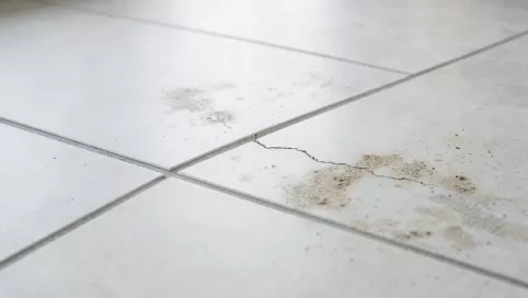 jaka grubosc fugi do plytek 120x60