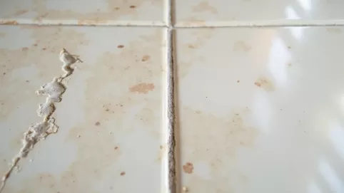 Najlepsza fuga epoksydowa