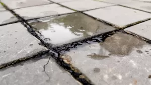 Uszczelniacz do fug zewnętrznych