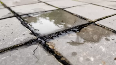 Uszczelniacz do fug zewnętrznych